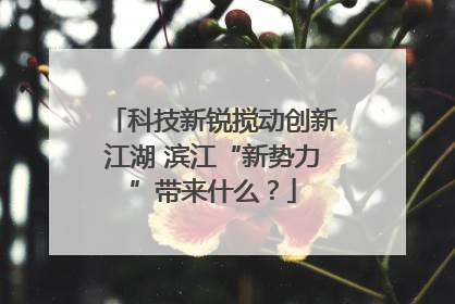 科技新锐搅动创新江湖 滨江“新势力”带来什么？