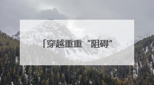穿越重重“阻碍”行进百公里 看华北豹“搬家”记