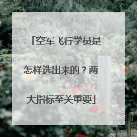 空军飞行学员是怎样选出来的？两大指标至关重要