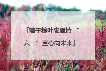 端午粽叶裹温情 “六一”童心向未来
