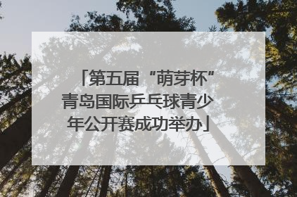 第五届“萌芽杯”青岛国际乒乓球青少年公开赛成功举办