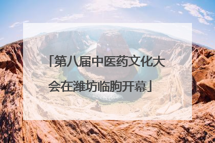 第八届中医药文化大会在潍坊临朐开幕