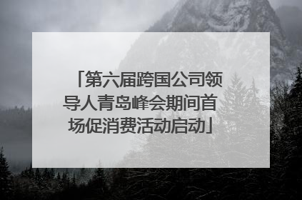 第六届跨国公司领导人青岛峰会期间首场促消费活动启动