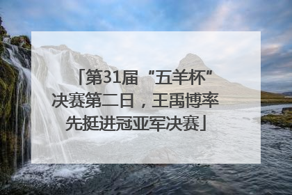 第31届“五羊杯”决赛第二日，王禹博率先挺进冠亚军决赛