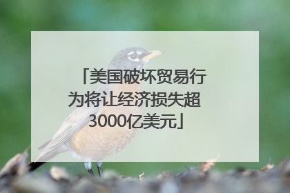 美国破坏贸易行为将让经济损失超3000亿美元