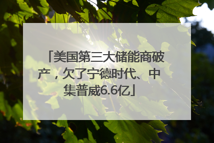 美国第三大储能商破产，欠了宁德时代、中集普威6.6亿