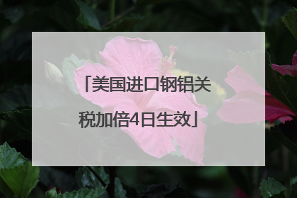 美国进口钢铝关税加倍4日生效