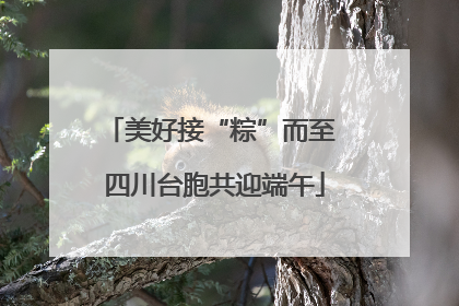 美好接“粽”而至 四川台胞共迎端午