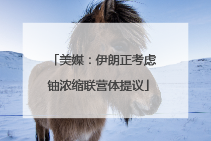 美媒：伊朗正考虑铀浓缩联营体提议