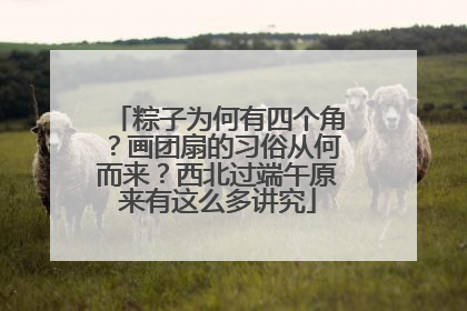 粽子为何有四个角？画团扇的习俗从何而来？西北过端午原来有这么多讲究