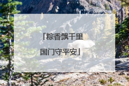 粽香飘千里 国门守平安