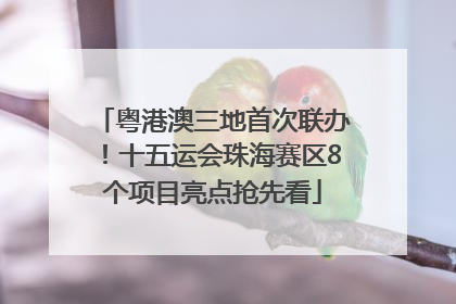 粤港澳三地首次联办！十五运会珠海赛区8个项目亮点抢先看