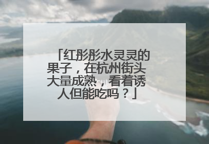 红彤彤水灵灵的果子，在杭州街头大量成熟，看着诱人但能吃吗？
