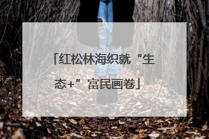 红松林海织就“生态+”富民画卷
