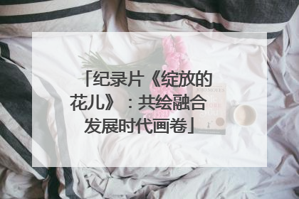 纪录片《绽放的花儿》：共绘融合发展时代画卷