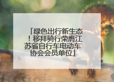 绿色出行新生态！移拜骑行荣膺江苏省自行车电动车协会会员单位