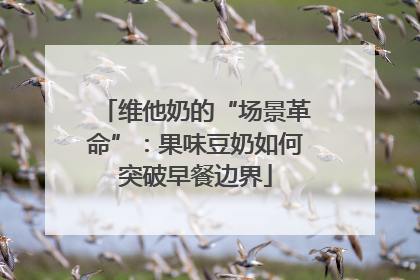 维他奶的“场景革命”：果味豆奶如何突破早餐边界