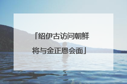 绍伊古访问朝鲜 将与金正恩会面