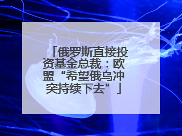 俄罗斯直接投资基金总裁：欧盟“希望俄乌冲突持续下去”