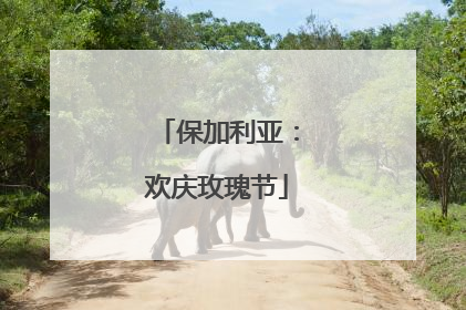 保加利亚：欢庆玫瑰节