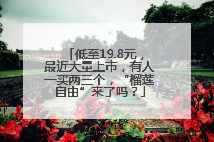 低至19.8元，最近大量上市，有人一买两三个，“榴莲自由”来了吗？