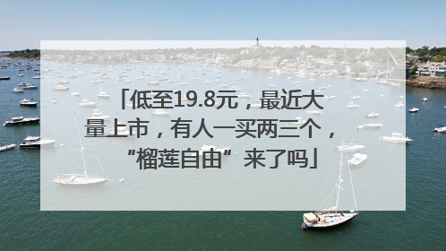 低至19.8元，最近大量上市，有人一买两三个，“榴莲自由”来了吗