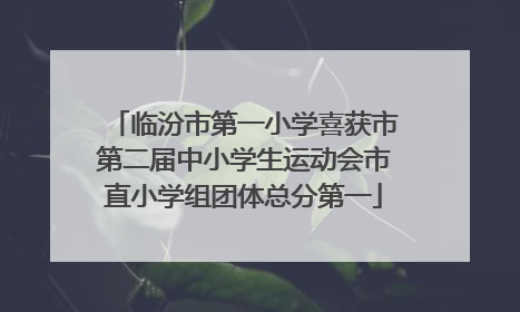 临汾市第一小学喜获市第二届中小学生运动会市直小学组团体总分第一