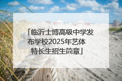 临沂士博高级中学发布学校2025年艺体特长生招生简章