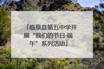 临泉县第五中学开展“我们的节日·端午”系列活动