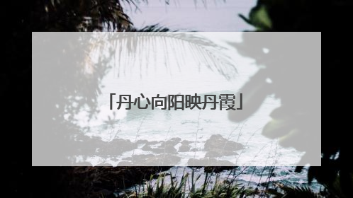 丹心向阳映丹霞