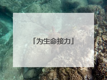 为生命接力