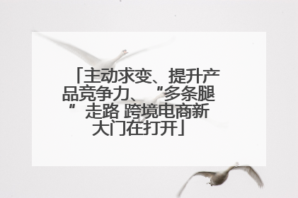 主动求变、提升产品竞争力、“多条腿”走路 跨境电商新大门在打开