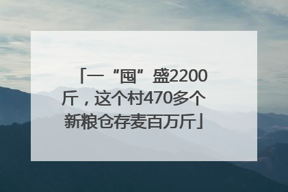 一“囤”盛2200斤，这个村470多个新粮仓存麦百万斤