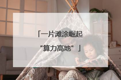 一片滩涂崛起“算力高地”