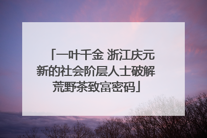 一叶千金 浙江庆元新的社会阶层人士破解荒野茶致富密码