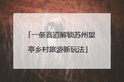 一条赛道解锁苏州望亭乡村旅游新玩法