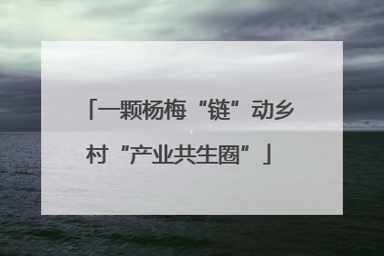 一颗杨梅“链”动乡村“产业共生圈”