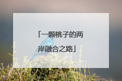 一颗桃子的两岸融合之路