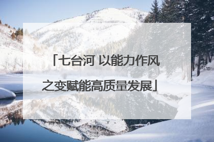 七台河 以能力作风之变赋能高质量发展
