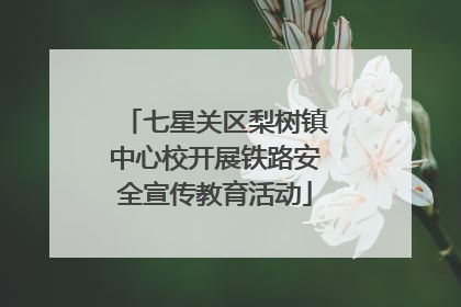 七星关区梨树镇中心校开展铁路安全宣传教育活动