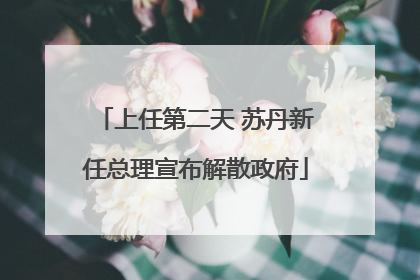 上任第二天 苏丹新任总理宣布解散政府