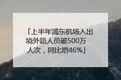 上半年浦东机场入出境外籍人员破500万人次，同比增46%