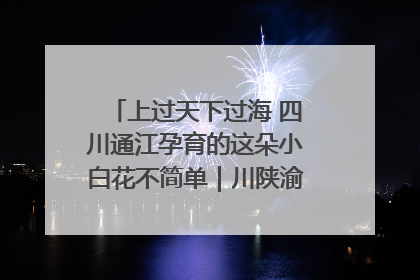 上过天下过海 四川通江孕育的这朵小白花不简单｜川陕渝网络名人巴中行