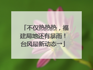 不仅热热热，福建局地还有暴雨！台风最新动态→