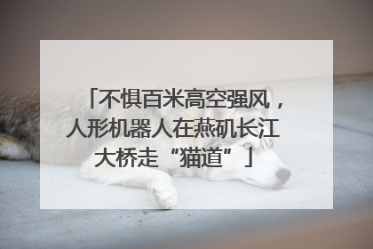 不惧百米高空强风，人形机器人在燕矶长江大桥走“猫道”