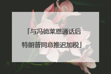 与冯德莱恩通话后 特朗普同意推迟加税