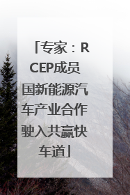 专家：RCEP成员国新能源汽车产业合作驶入共赢快车道