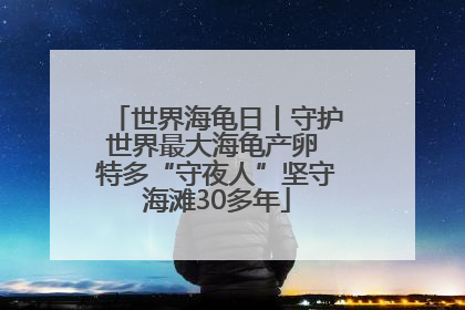 世界海龟日丨守护世界最大海龟产卵 特多“守夜人”坚守海滩30多年