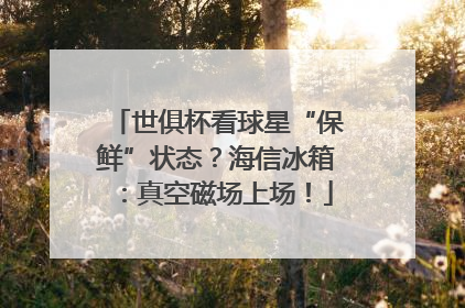 世俱杯看球星“保鲜”状态？海信冰箱：真空磁场上场！