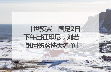世预赛｜国足2日下午出征印尼，刘若钒因伤落选大名单